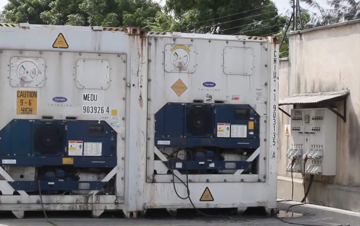 Refrigerated containers connected at the reefer handling area at Focus CFS.